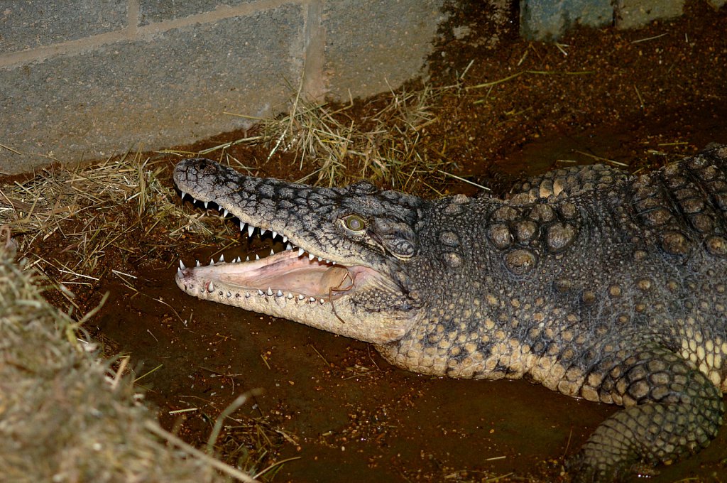 ©Si Barber. Moral rights asserted.