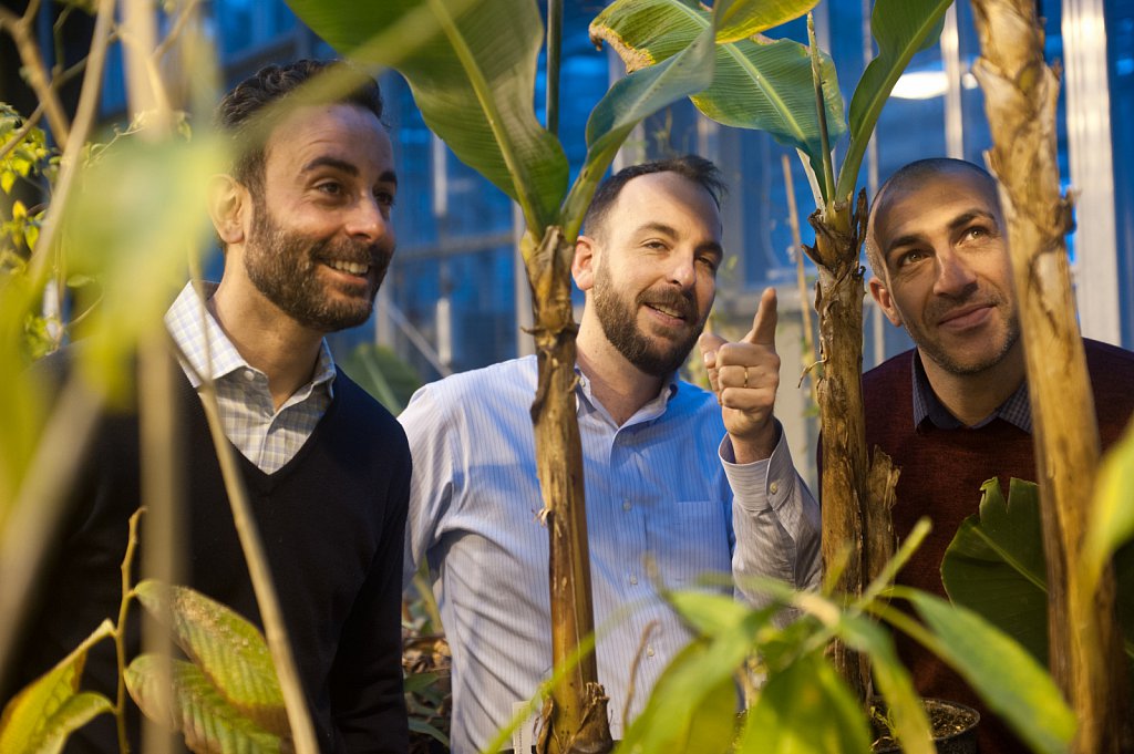 ©Si Barber. Moral rights asserted