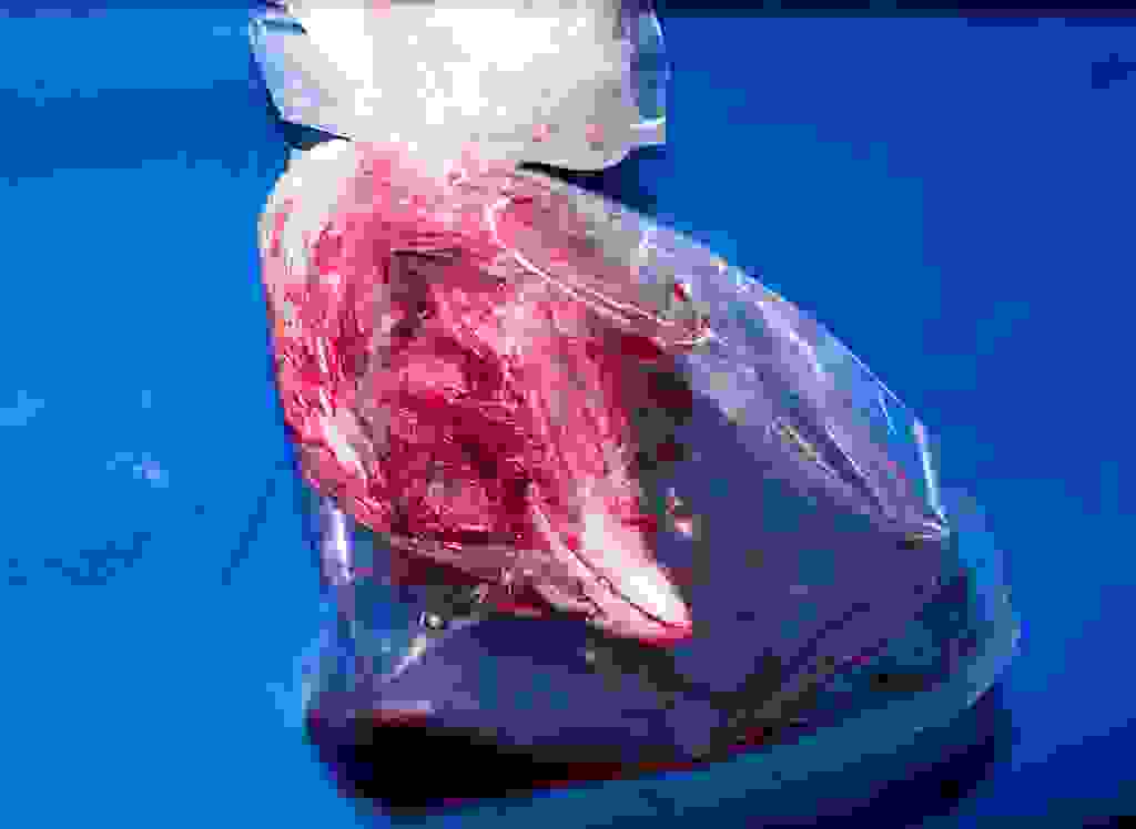 Key's Annual Poultry Auction.